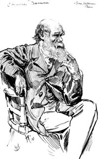 darwintoon