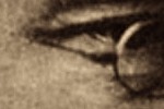 trollopespecs600