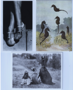 Screen Shot 2023-11-04 at 7.57.13 AM