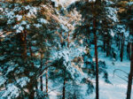 Aerial view of the forest of the building after a snowfall